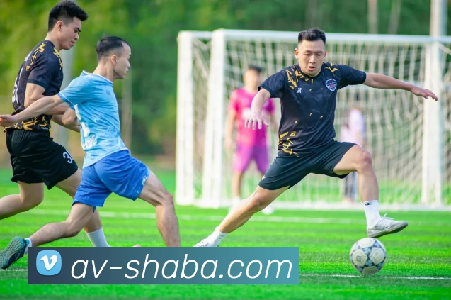 沙巴体育平台平台生态图